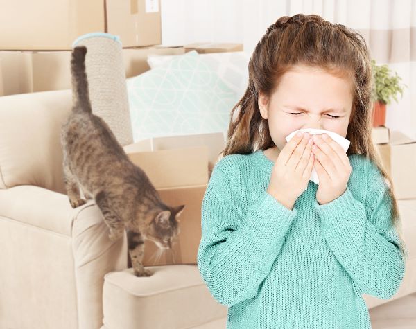 Girl sneezing while covering her mouth and nose with a tissue and a cat on a sofa on the background.