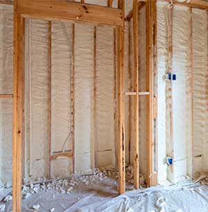 Spray Foam Insulation