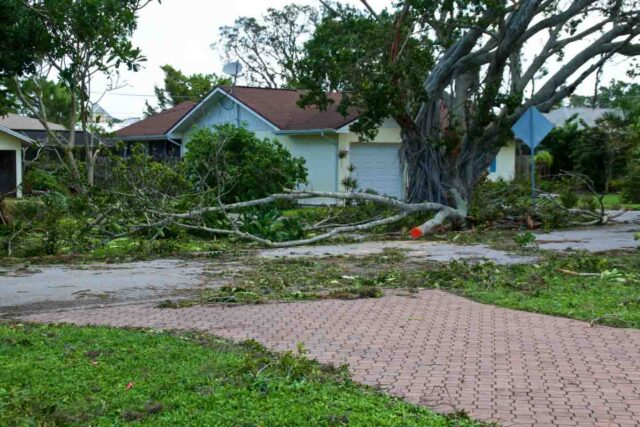 Fallen tree branches blocking a driveway after storm damage in Florida.